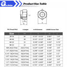 Stainless Steel Nylon Insert Hex Lock Nuts Nylock 2 -56 4 -40 6 -32 To 3 4 -10