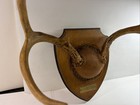 6 Point Whitetail Deer Antler Rack Skull Cap Taxidermy Mount Cabin Decor 1984