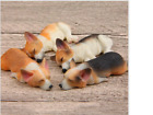 1 Pc 1 12 Sleeping  Red White Brown Welsh Corgi Dog Figure Toy Dollhouse Magnets