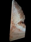 Xl Mind Blowing Maple Burl Wood Blank  Ambrosia Maple Curly Maple Craft Wood