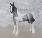 2008 Peter Stone Sr Big Darby Glossy Gray Tobiano Pinto Fc Chips Drafter 30 Pcs