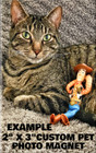 Custom Pet Photo Of Your Cat Dog Image Fridge Refrigerator Locker Magnet 2 X 3