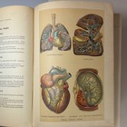 1901 Medicology Medical Book Color Anatomy Plates Antique Illustrated