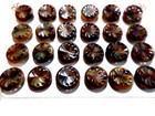 24 Vintage Antique Nouveaute Pierced Plastic Buttons Original Card Fancy
