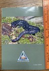 A Guide To Missouri   s Salamanders - Missouri Department Of Conservation 2023