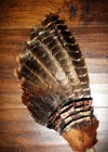 Turkey Native American Smudge Feather Fan Antler