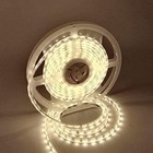 32ft Bright 12v 3528 Smd 3000k Led Flexible Strip Light For Gardens Outdoor Us