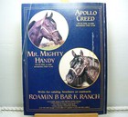 Vintage Appaloosa News Magazine Original February 1985