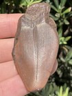 Natural Beautiful 2 28    Megalodon Tooth Fossil Shark Teeth