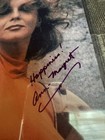 Ann-margret  Signed Vintage Color 8x10 Excellent Condition Vintage Dual Coas