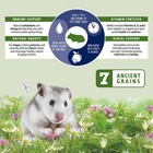 Smart Hamster Food - Complete Nutrition - Premium Fortified Blend With Added