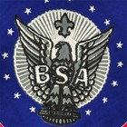 Vintage Bsa Eagle Scout Silk Screened Neckerchief lb2290 