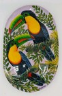 Keel-billed Toucan Hand Painted Original On Wood  11 5  X 7 25   Ready To Hang