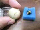 Florida Federation Of Garden Clubs Inc  Past President Lapel Pin In Box
