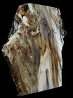Xxl Wicked Figured Ambrosia Maple  Burl Wood Slab Craft turning Wood Epoxy Wood 