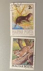 Hungary   Scott Cat   Collectors Lot   84 Stamps   1970-1994   Mostly Mnh