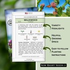 Sow Right Seeds - Common Milkweed For Planting - Attract Monarch Pink 