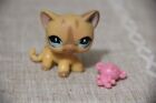 Littlest Pet Shop Lps Authentic  886 Yellow Shorthair Cat Fanciest Eyes Hasbro