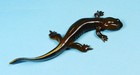 Kaiyodo Animatales Animal In Japan Choco Q Mitsyama Salamander Figure Us Seller