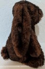 Jellycat Bashful Walnut Bunny Medium 12  Retired Bnwt Rare Brown Plush