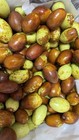 Fresh  Honey Jujube Ga866  3lbs 