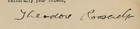 Theodore Roosevelt - Typed Letter Signed 11 12 1912