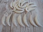 3 X-large Coyote Teeth Fangs Canine Animal Teeth Jewelry Craft Supplies Projects