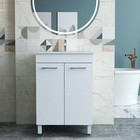 Bathroom Vanity With Sink  Double Doors  Hinged  Adjustable Shelves
