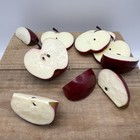 Artificial Faux Fake Fruit Realistic Movie Photo Prop Apple Slices Food Display
