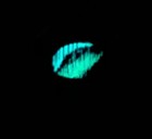 2017 Canada  2 Two Dollar Dance Of The Spirits Glow In The  dark  ngc  graded Ms65