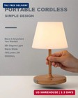Weilailux Outdoor Battery Operated Table Lamp Waterproof  4000mah Cordless Table