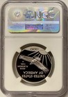 2017-w  100 1 Oz Platinum American Eagle Ngc Pf-70 Ucam