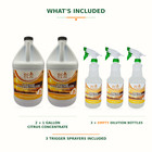 Eco Cln Citrus All-purpose Cleaner Concentrate 2 Gallons   3 Empty Spray Bottles