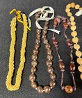 4 Mongo Shell Hawaiian Lei Necklace Accented W  Kukui Nuts Luau