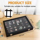 Rock Collections Box For Kids - Rock Display Case For Collectibles - Rock Collec