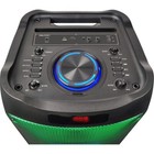 Dolphin Dual 12  Bluetooth Party Speaker W  2 Microphones Karaoke Rechargeable