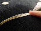 Vintage Made In Japan Celluloid Fish Trout Salmon Animal Measuring Tape Measure