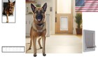 Stylish Plastic Pet Door For Dogs - Easy Installation   Secure Lock-out Slide