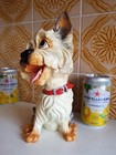 Pets With Personality - Rufus  The Yorkshire Terrier