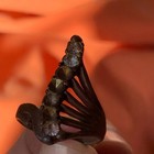 Very Rare Ancient Bronze Antique Roman Ring Amazing Very Stunning Artifact