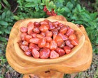 2 Carnelian Tumbled Stones  Medium  crystal Healing Gemstone Reiki  Us Seller