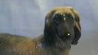 Vintage Handsome Coopercraft Afghan Hound Dog Figurine Figure Ornament