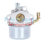 Carburetor Carb For Briggs   Stratton B s Engine With Model 795654