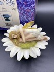 The Fairy Site Daisy Rachael Tallamy In Box 2010