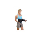 Basic Lumbar Support  large 