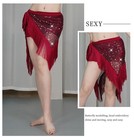 Women s Belly Dance Hip Scarf Sequin Fringe Wrap Belt Shimmer Tassel Costume