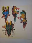Vintage Original  Tattoo Flash Art   11 X 11 In    Vultures