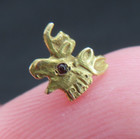Vintage Very Small Gold Tone Loyal Order Of Moose Pap Screw Back Lapel Pin