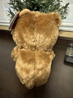 Feisty Pets Bear Plush Original 2015 Release Sir Growls A Lot Collectible