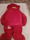 Ty Beanie Baby Buddy  osito  The Bear